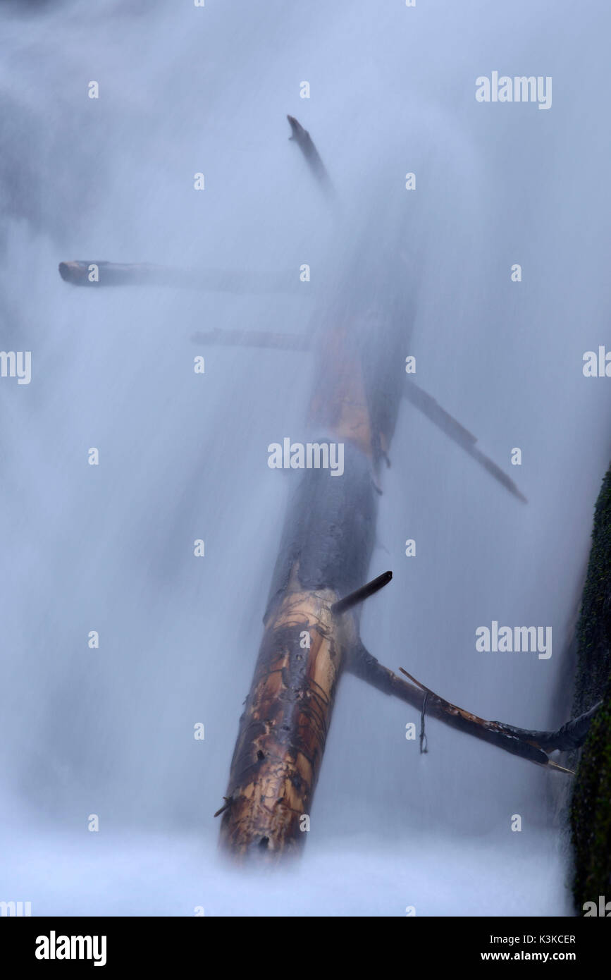 Alte Belastung im Fallen aus Wasser eines Wasserfalls Fichte in Mittenwald. Ein Vorhang aus langzeitbelichtung entwickelt. Stockfoto