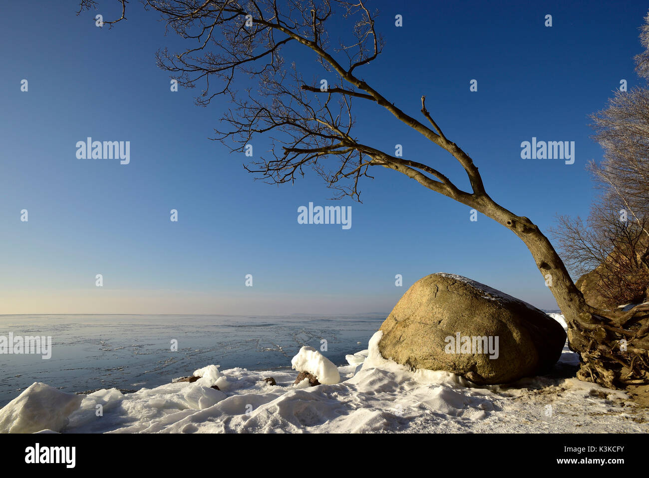 Big Rock Fragment oder erratischen Block auf der verschneiten Ufer der deutschen Ostsee mit zu wachsenden Baum vor blauem Himmel. Stockfoto