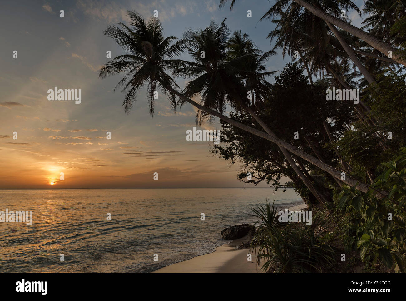 Romantischen Sonnenaufgang in der berühmten Sumurtiga Strand auf der gemütlichen Insel Pulau Weh in der Nähe von Sumatra. Im Hintergrund der aufgehenden Sonne, im Vordergrund Palmen, Strand und der angrenzenden Grün. Stockfoto