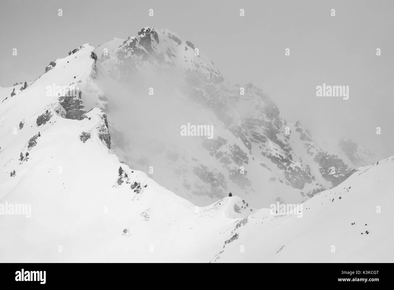 Eine kleine Gruppe Gämsen auf rechts unten im Bild gegen die Größe und die Unwirtlichkeit bei schlechtem Wetter im Winter in einem Berghang der Schöttelkarspitze in der Soierngruppe im Karwendel. Stockfoto