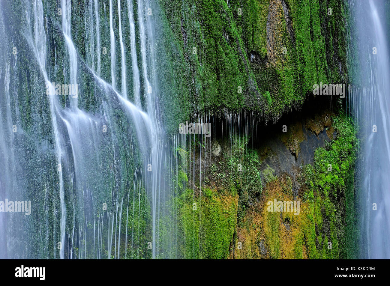 Detail der Korokoro fallen am Lake Waikaremoana in Neuseeland Stockfoto