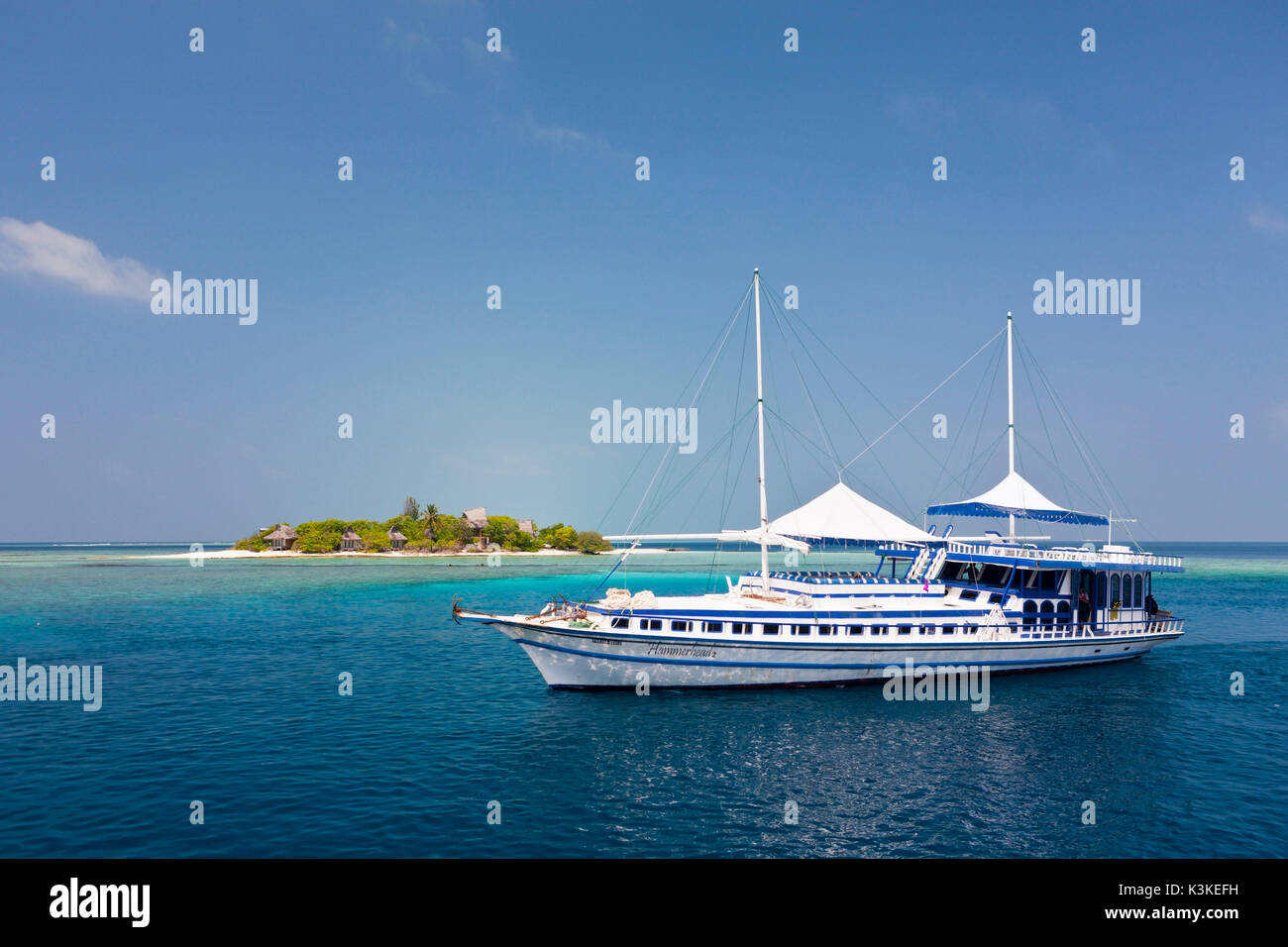 Tauchsafari Hammerhead 2, Süd Male Atoll, Malediven Stockfoto