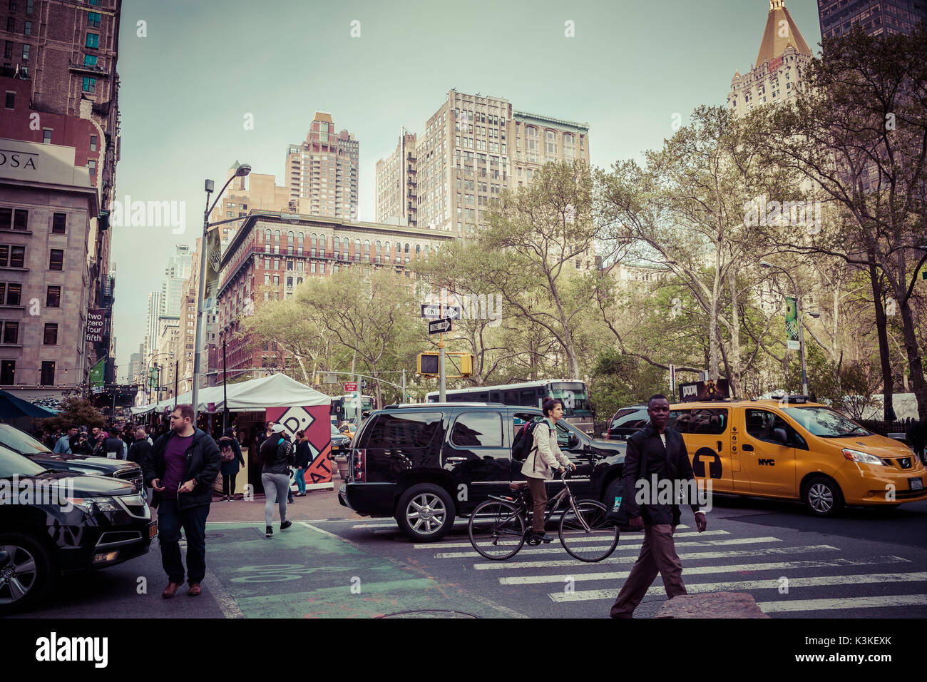 Typische NY Straßenbild, beschäftigt die Menschen auf einem Zebrastreifen und Verkehr an der 5th Avenue, Manhattan, New York, USA Stockfoto