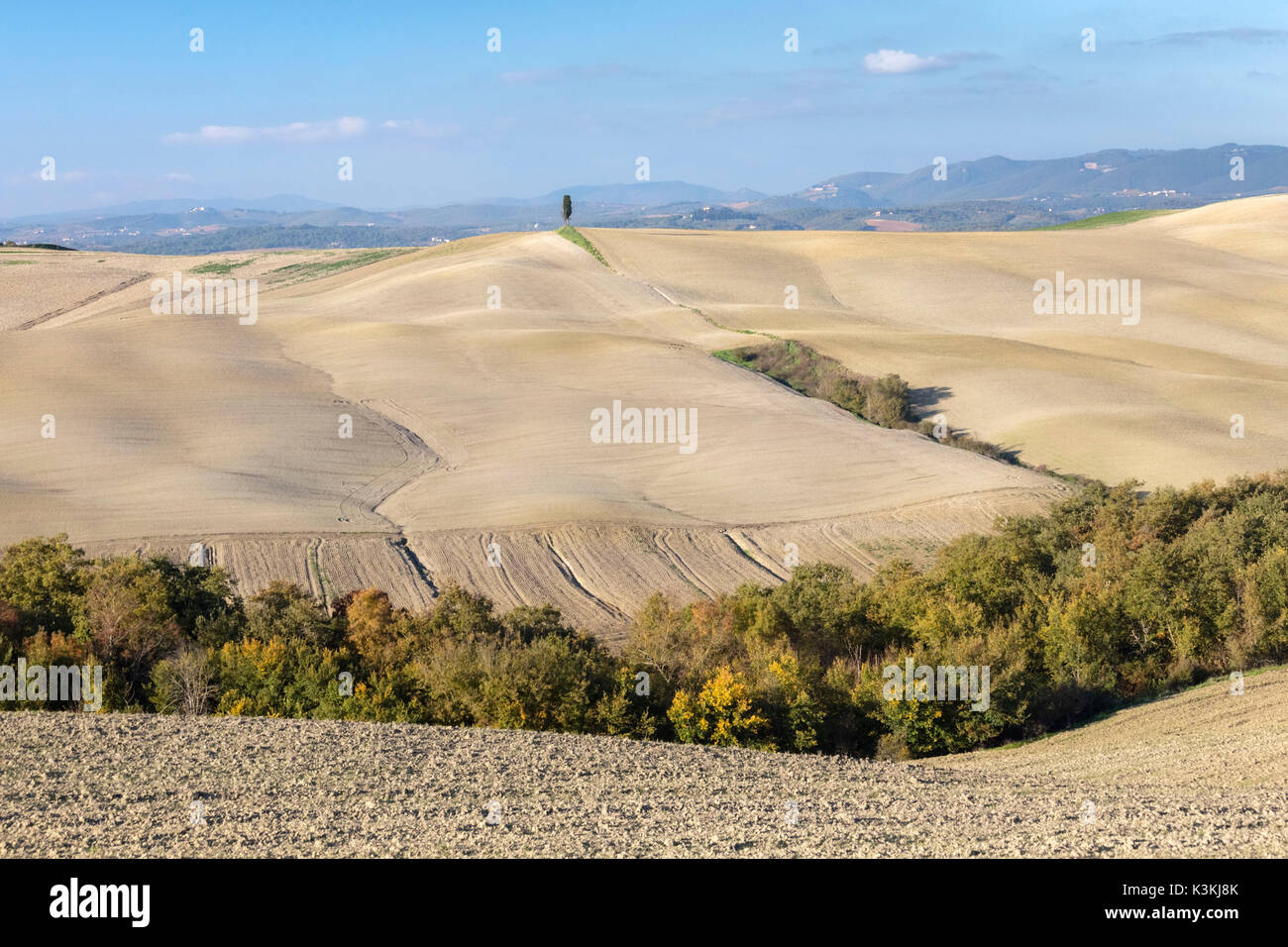 Herbstliche Hügel in der Landschaft in der Nähe von Asciano, Toskana, Italien. Stockfoto