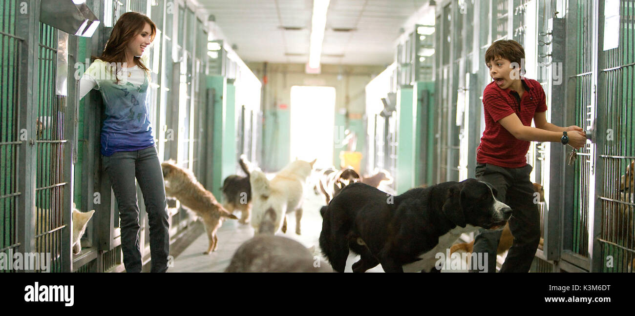 HOTEL FÜR HUNDE EMMA ROBERTS, JAKE T AUSTIN Datum: 2008 Stockfoto