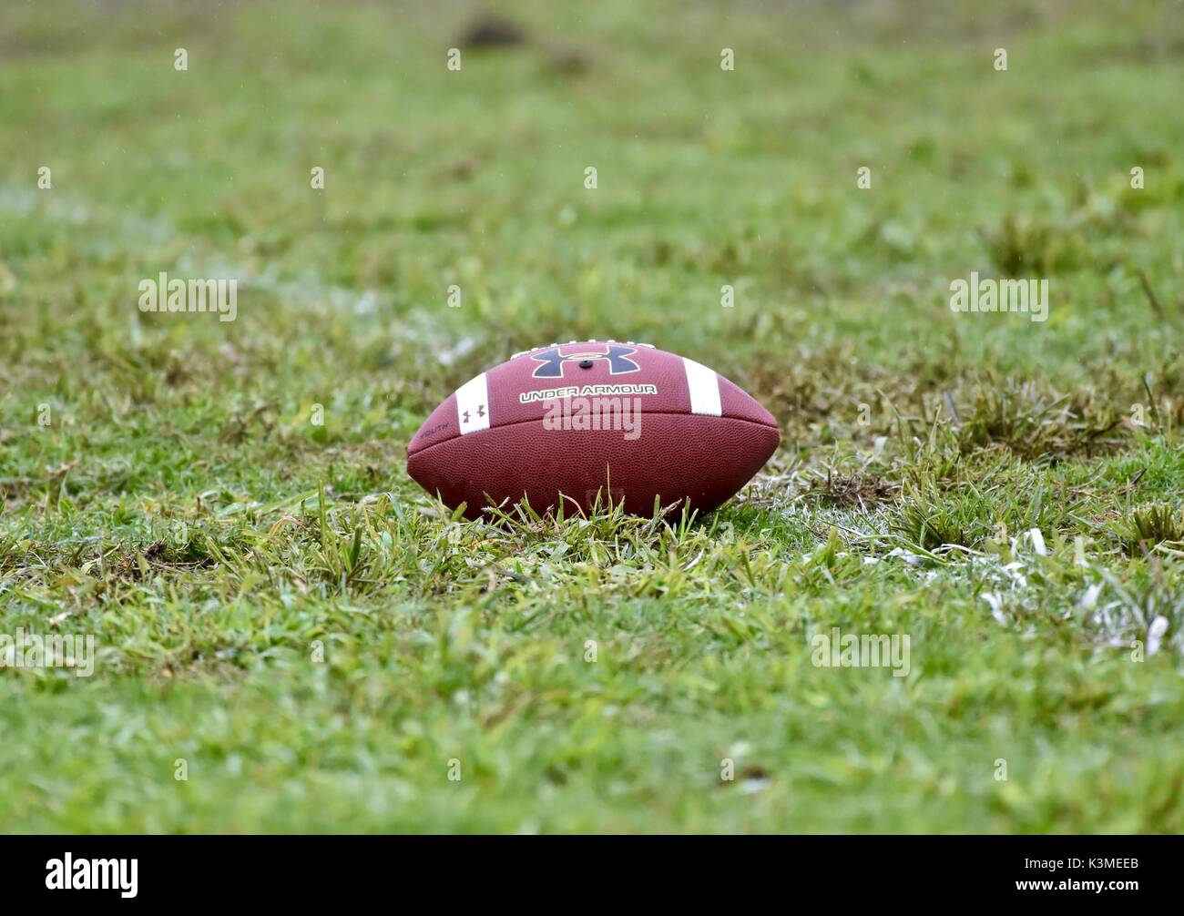 Fußball auf dem Feld Stockfoto