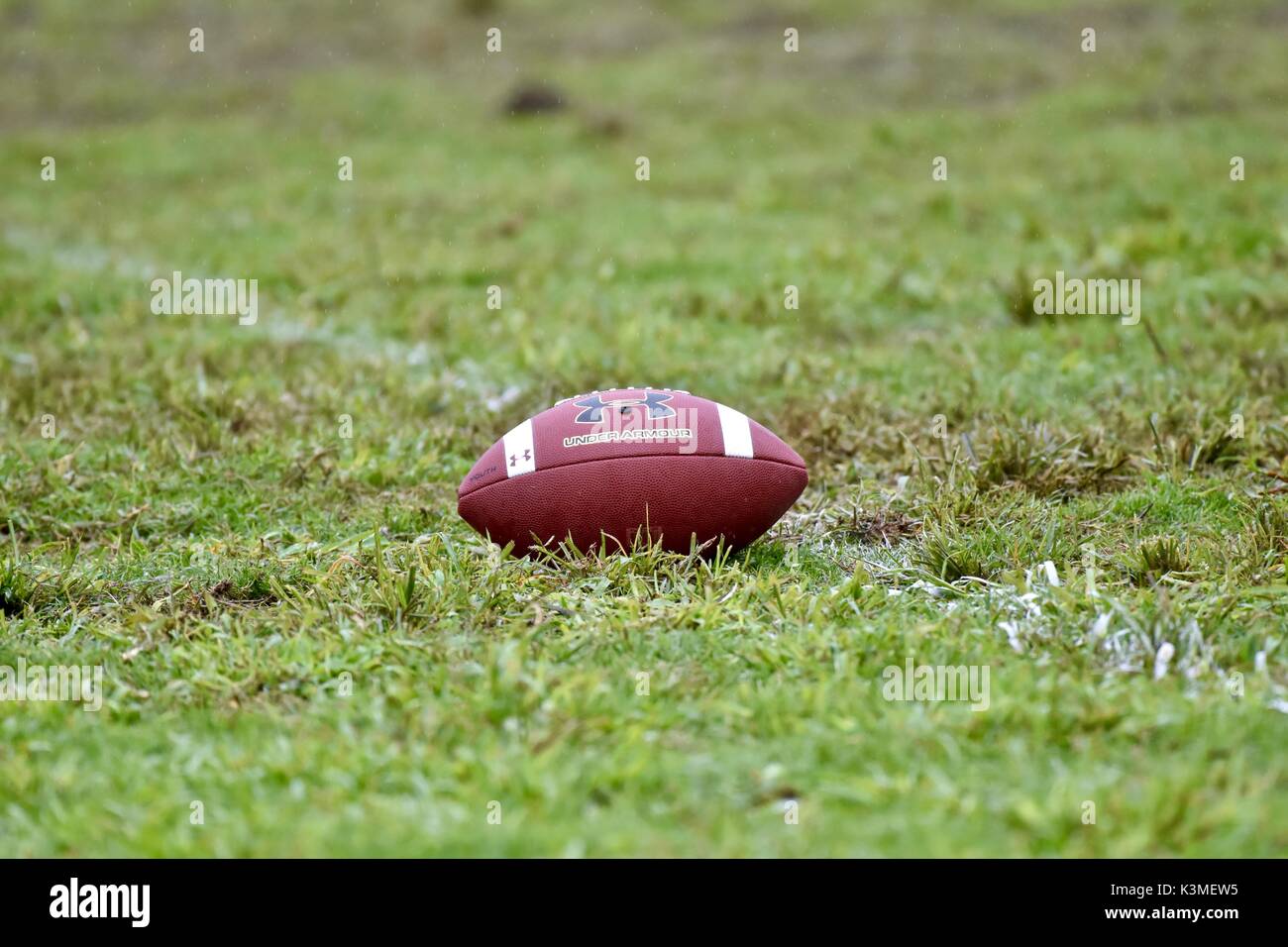 Fußball auf dem Feld Stockfoto