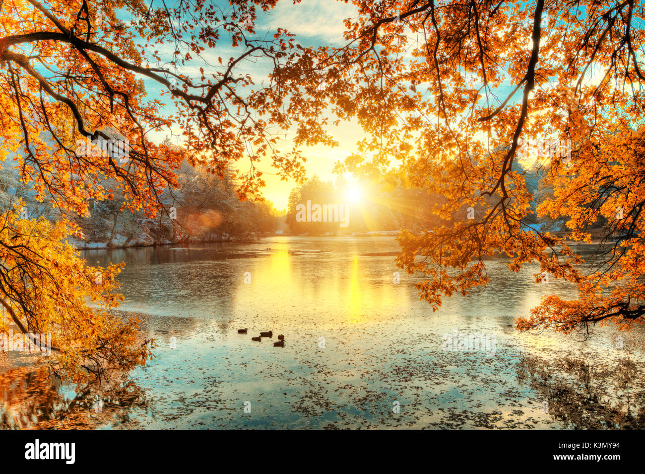 Schöne farbige Bäume mit See im Herbst, Landschaftsfotografie. Spätherbst und frühen Winter. Im Freien und in der Natur. Stockfoto