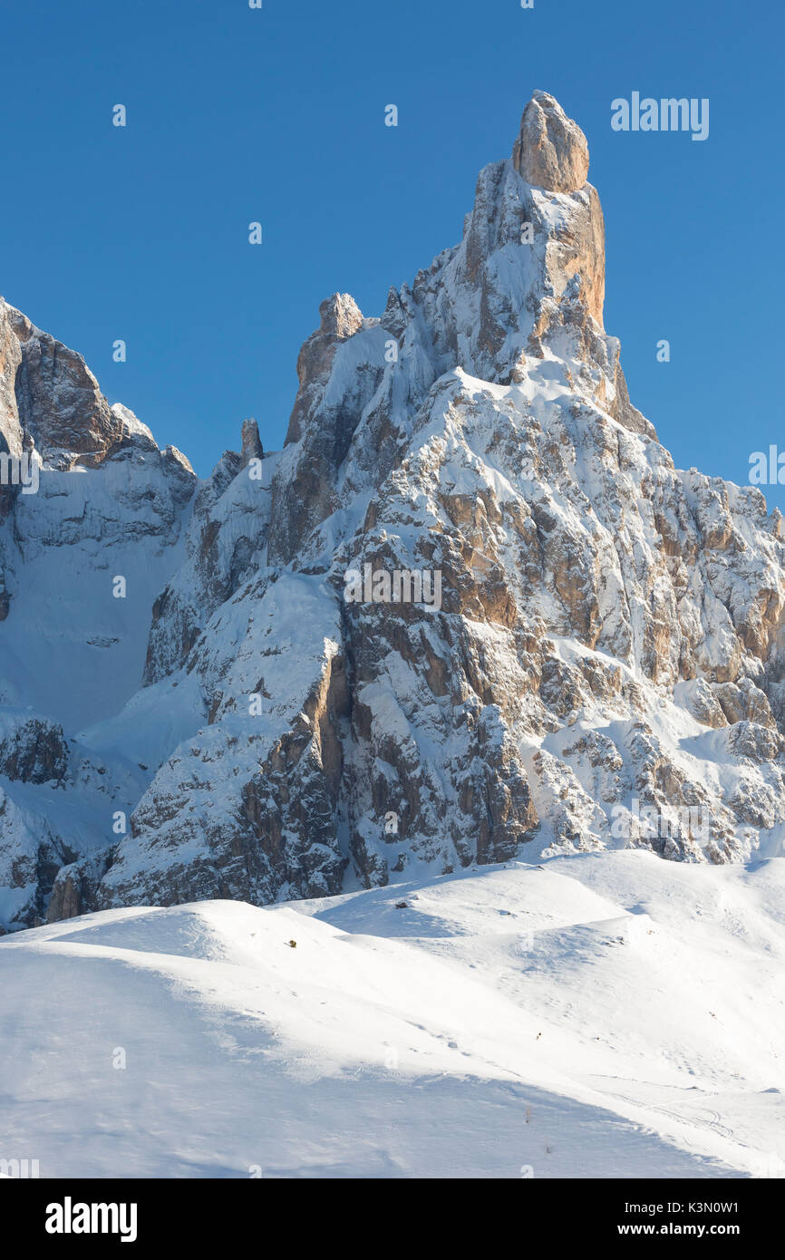 Ein Winter Blick des Cimon della Pala, der höchste Gipfel des Pale di San Martino. Die Provinz Trient, Trentino Alto Adige, Italien, Europa Stockfoto