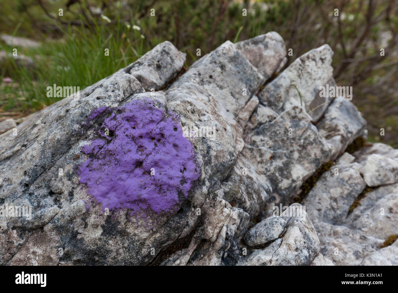 Europa, Italien, Venetien, Belluno, Monti del Sole, Dolomiten. Trail Tafel, die mit der Farbe der Belluneser Dolomiten Nationalpark Stockfoto