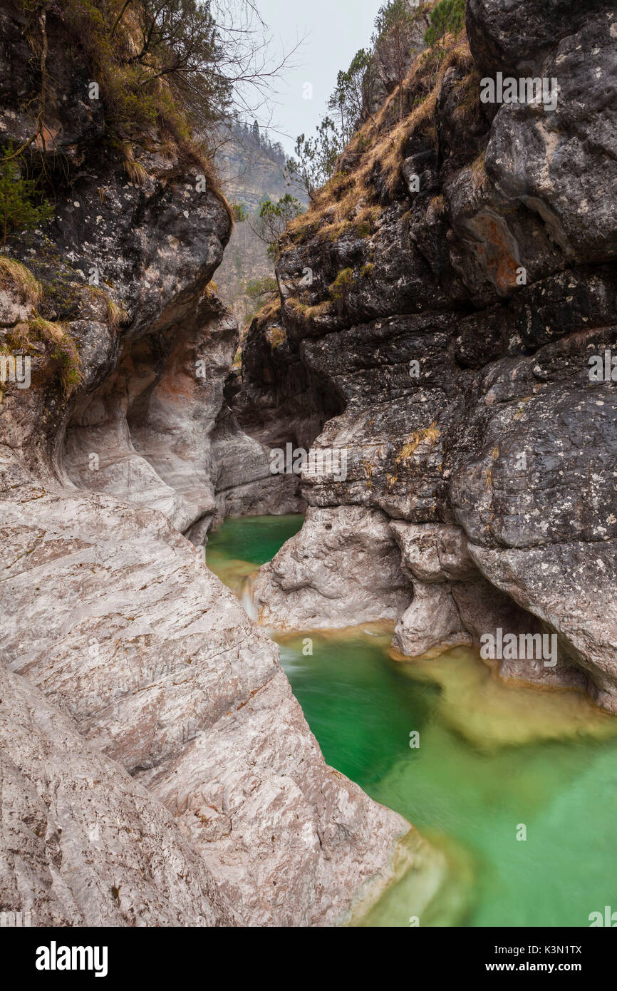 Erosion in die tiefe Schlucht durch das Wasser geschnitzt am Anfang des Val Pegolera, Nationalpark Dolomiti Bellunesi, Monti del Sole Stockfoto