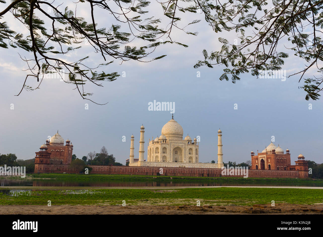 Taj Mahal, Agra, Uttar Pradesh, Indien, Asien. Stockfoto