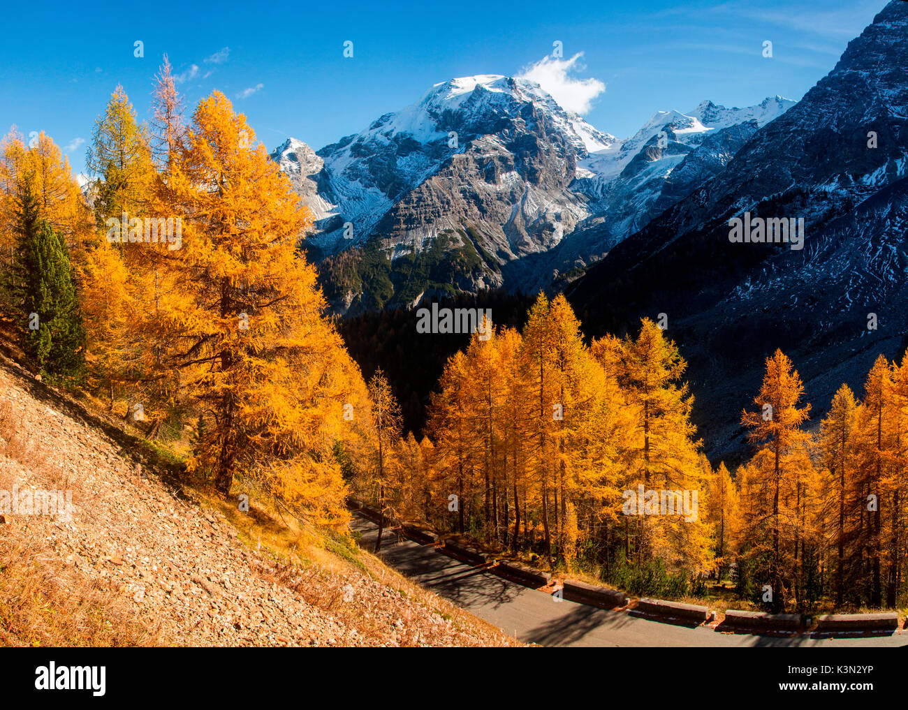 Die Straße des Stilfser Joch im Herbst mit den Farben der Lärchen. Trentino Alto Adige - Alpen - Italien Stockfoto