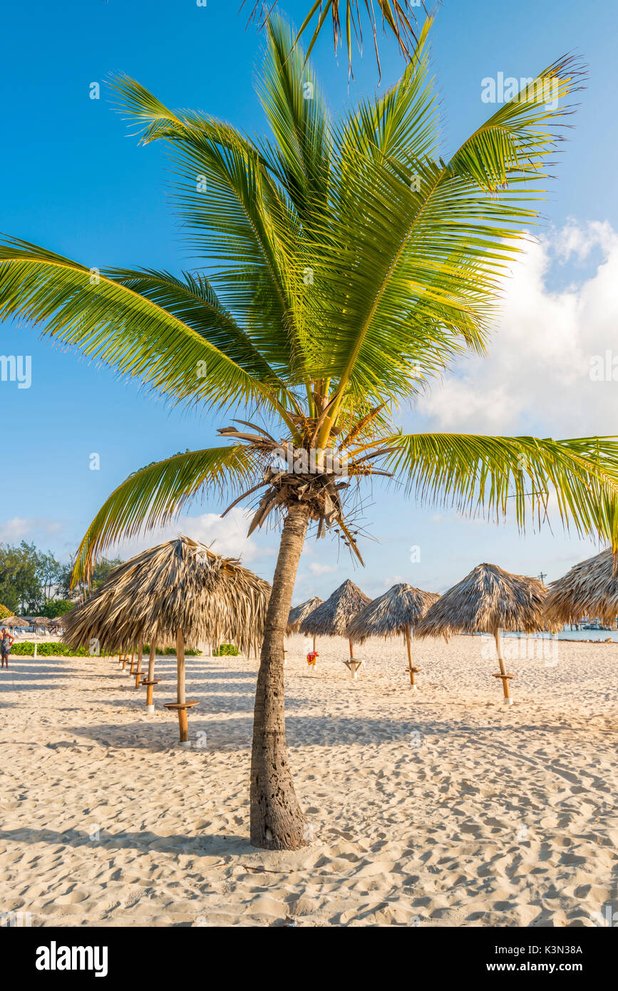 Bavaro Beach, Bavaro, Higuey, Punta Cana, Dominikanische Republik. Stockfoto