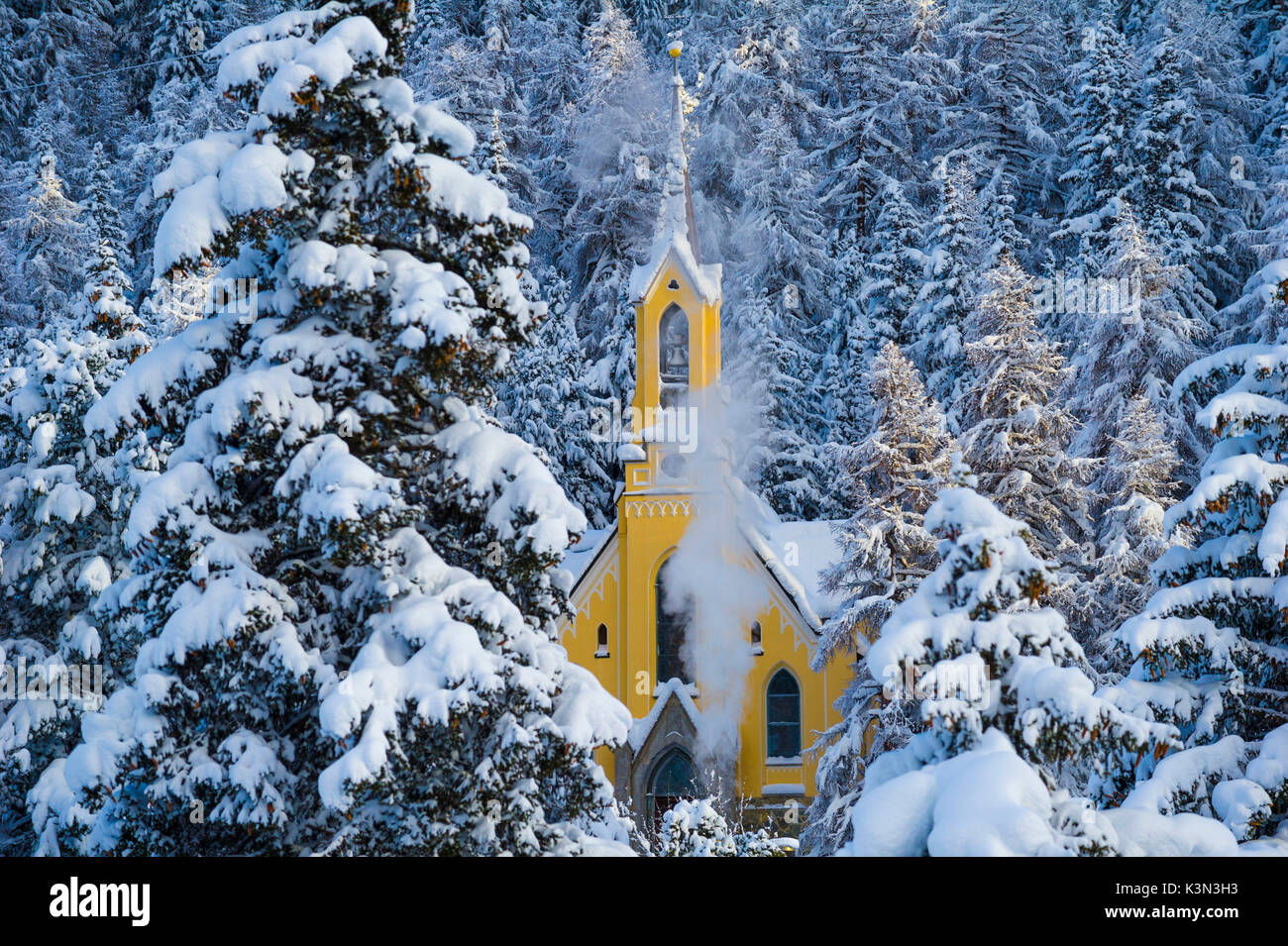Bäume mit unberührten Schnee und gelben Kirche. St. Moritz, Engadin, Schweiz Stockfoto