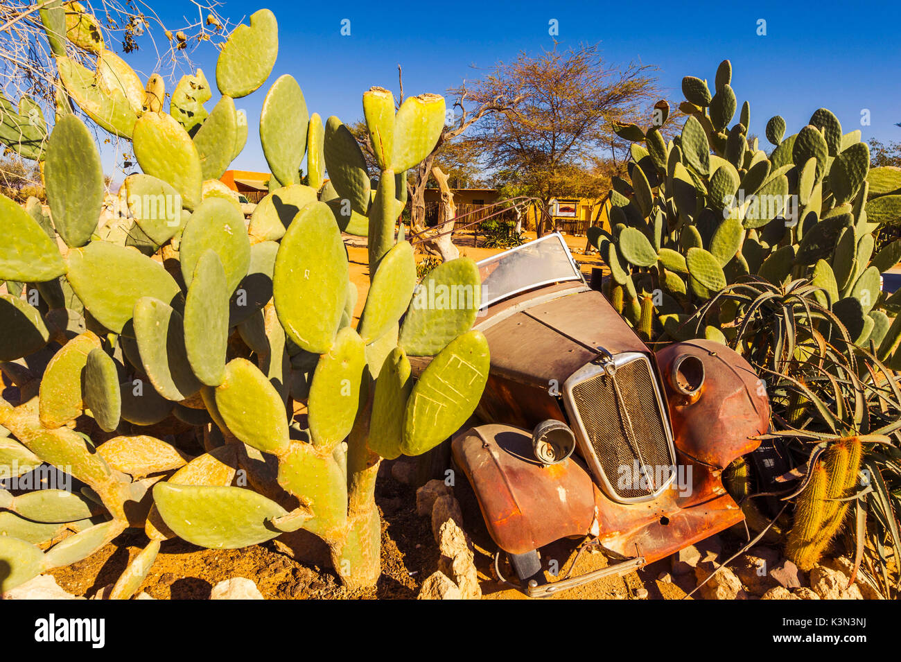 Solitaire, Namibia, Afrika. Abgebrochene rostige Autos. Stockfoto