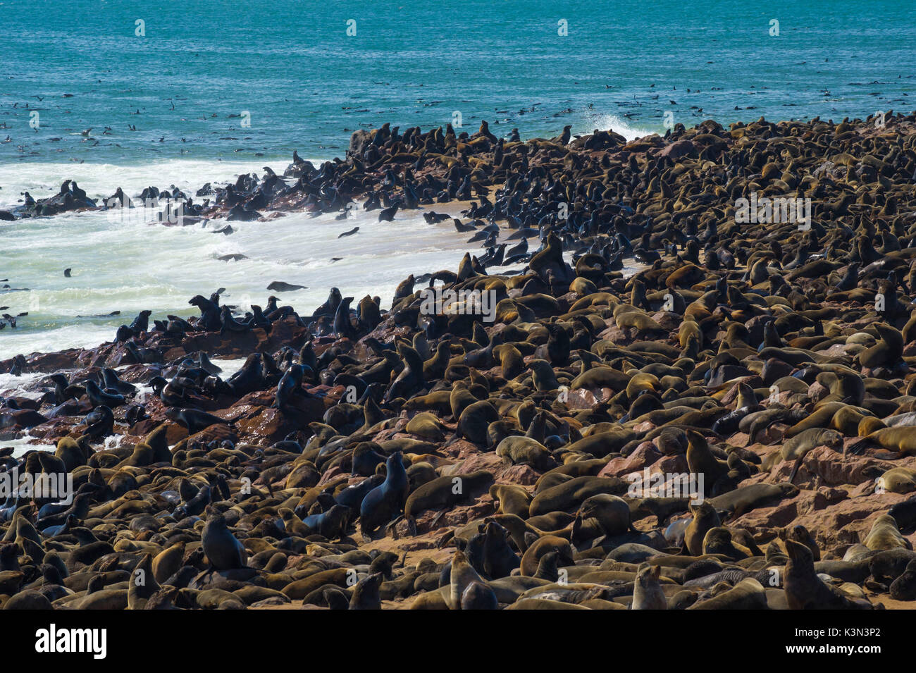 Cape Cross, Skelettküste, Namibia, Afrika. Dichtungen Kolonie. Stockfoto