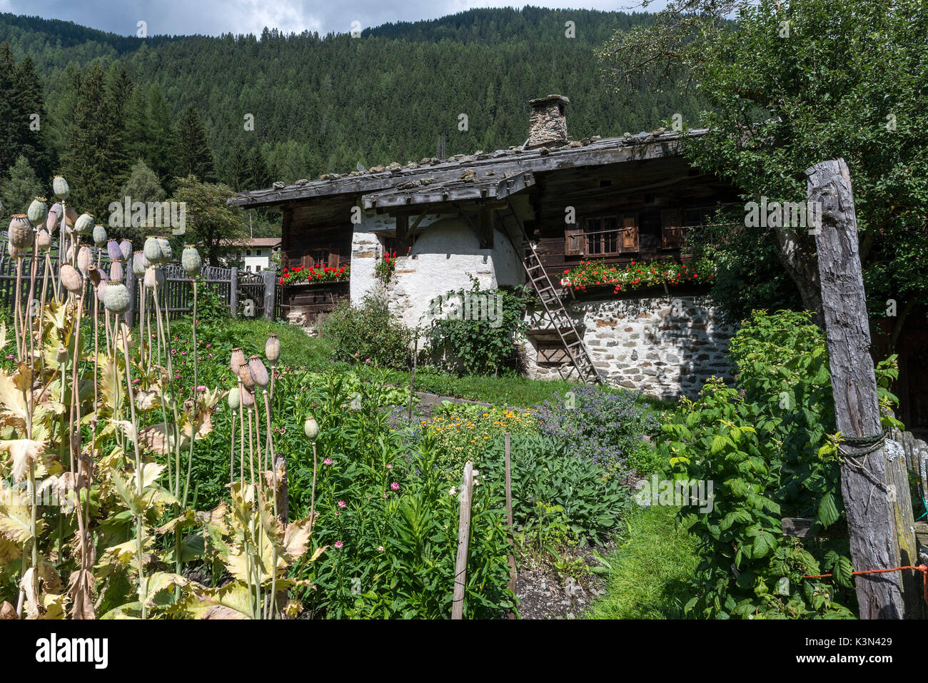 Val d'Ultimo / Ultental, Südtirol, Italien. Typische alte Bauernhaus Stockfoto