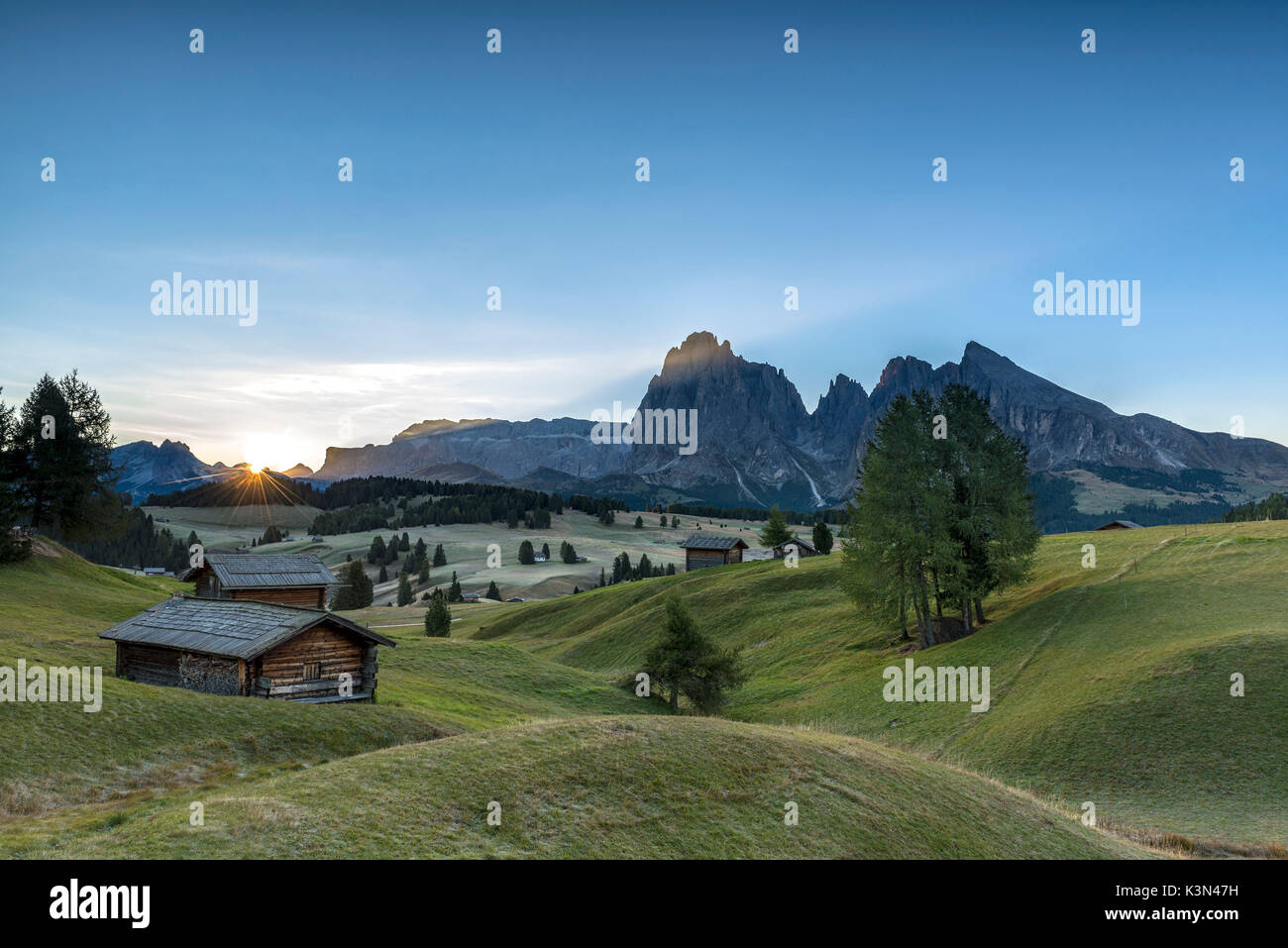 Seiser Alm, Dolomiten, Südtirol, Italien. Sonnenaufgang auf den Weiden der Seiser Alm. Im Hintergrund die Gipfel der Sella, Langkofel und Plattkofel/Plattkofel Stockfoto