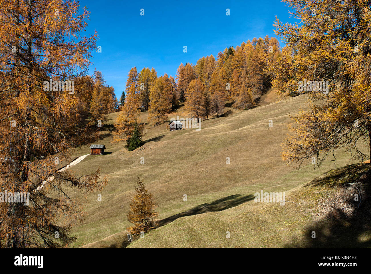 Weiden des Ciavaza, Dolomiten, Südtirol, Italien. Herbst auf den Weiden des Ciavaza Stockfoto
