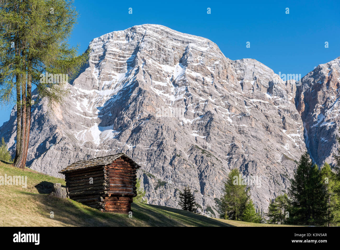 La Valle/ Wengen, Alta Badia, Provinz Bozen, Südtirol, Italien. In den Wiesen und Weiden des Pra de Rit Stockfoto