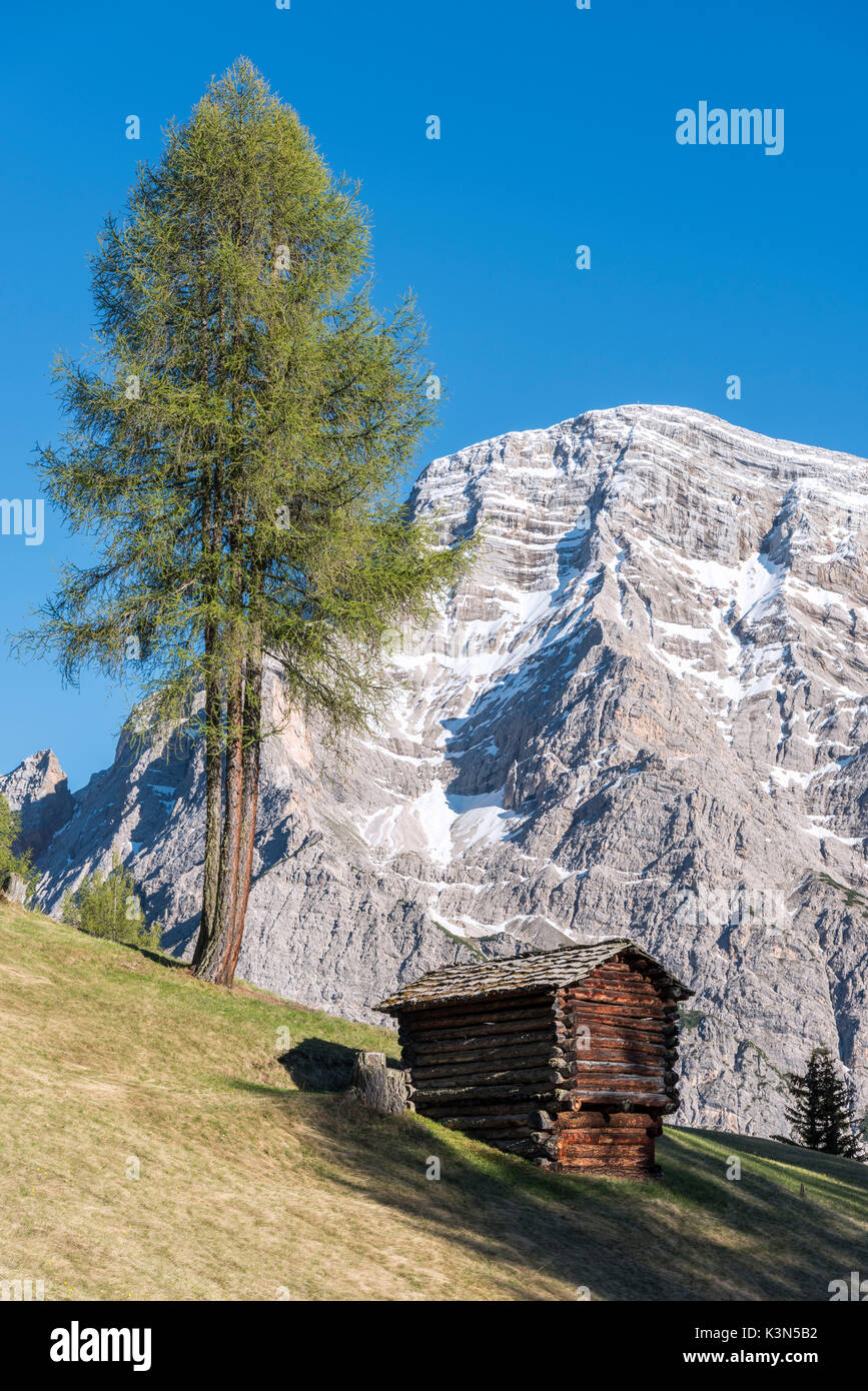 La Valle/ Wengen, Alta Badia, Provinz Bozen, Südtirol, Italien. In den Wiesen und Weiden des Pra de Rit Stockfoto
