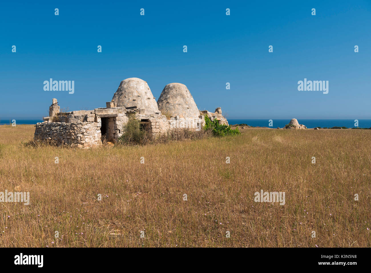 Cozze, Mola Di Bari, Provinz Bari, Apulien, Italien. Traditionelle apulische trockene Hütte aus Stein Stockfoto