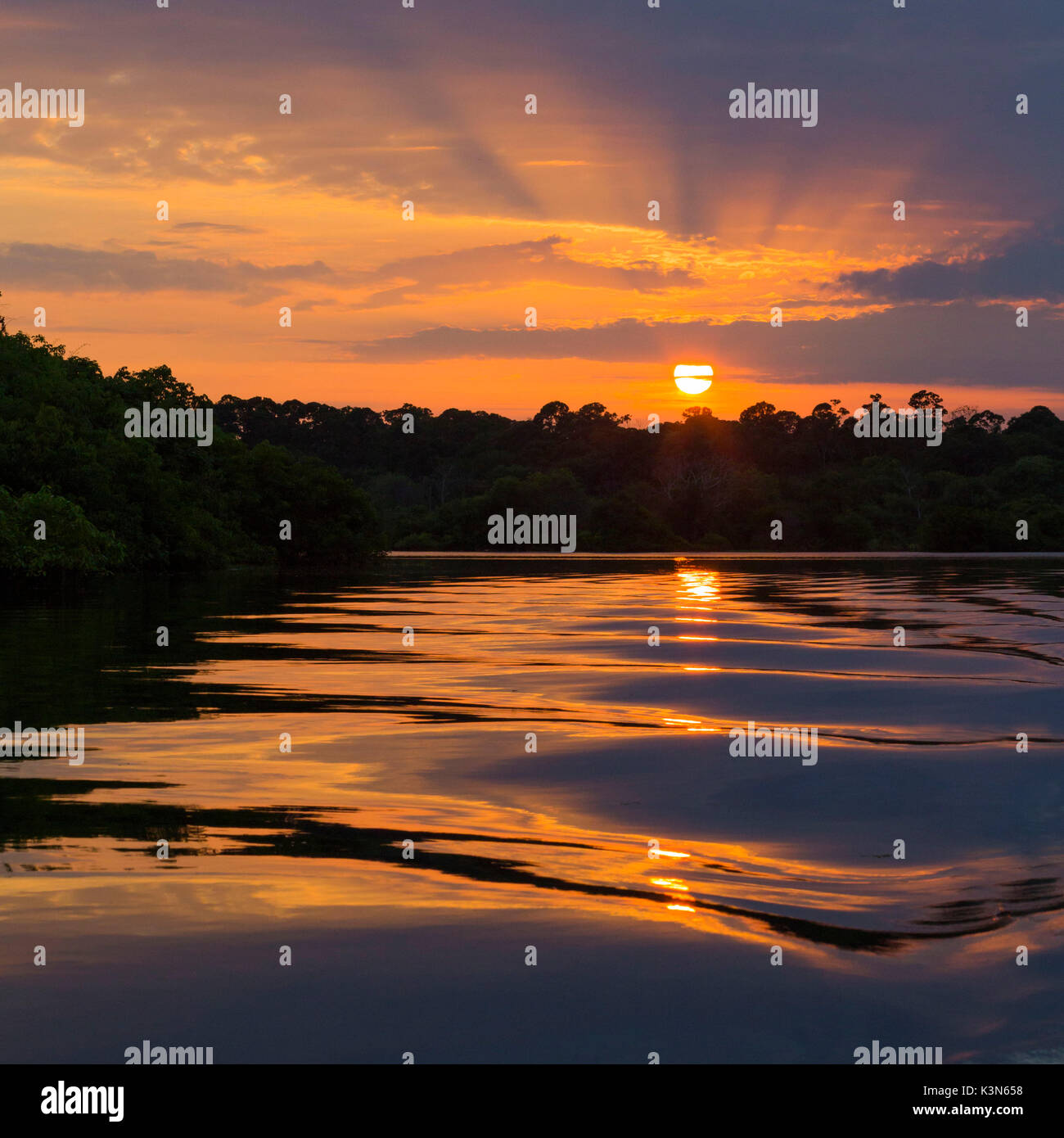 Rio Negro bei Sonnenuntergang; in der Nähe von Manaus Amazonas; Amazonien; Staat; Brasilien, Südamerika Stockfoto