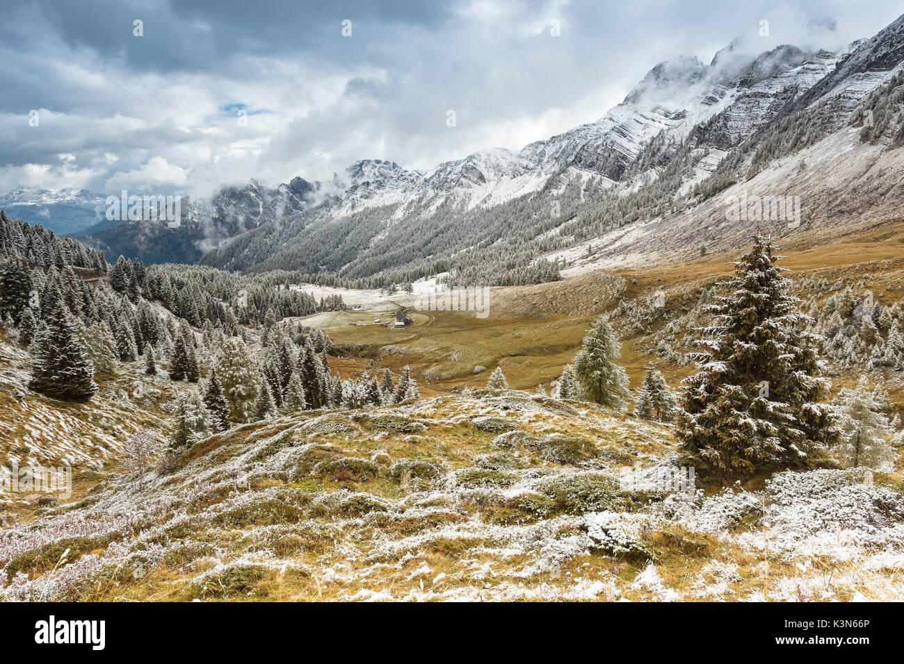 Europa, Italien, Venetien Trentino Grenze, Valles. Herbst der erste Schnee, Valles Pass, Belluno, Dolomiten Stockfoto