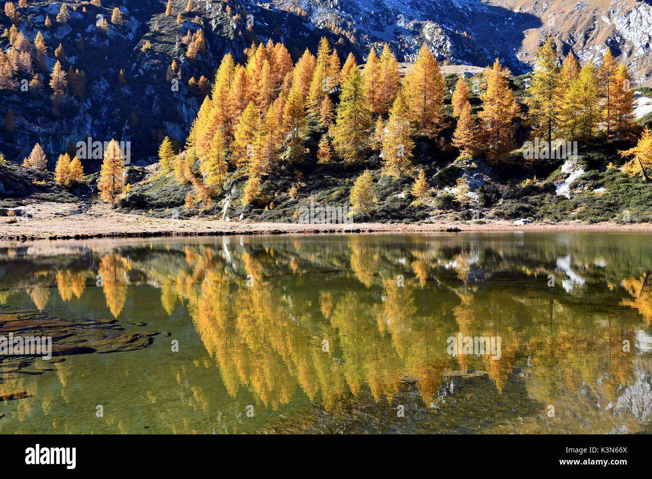 Gespiegelt Herbst Farben auf dem See (schampus), Camporcher Tal, Aostatal, Italien Stockfoto