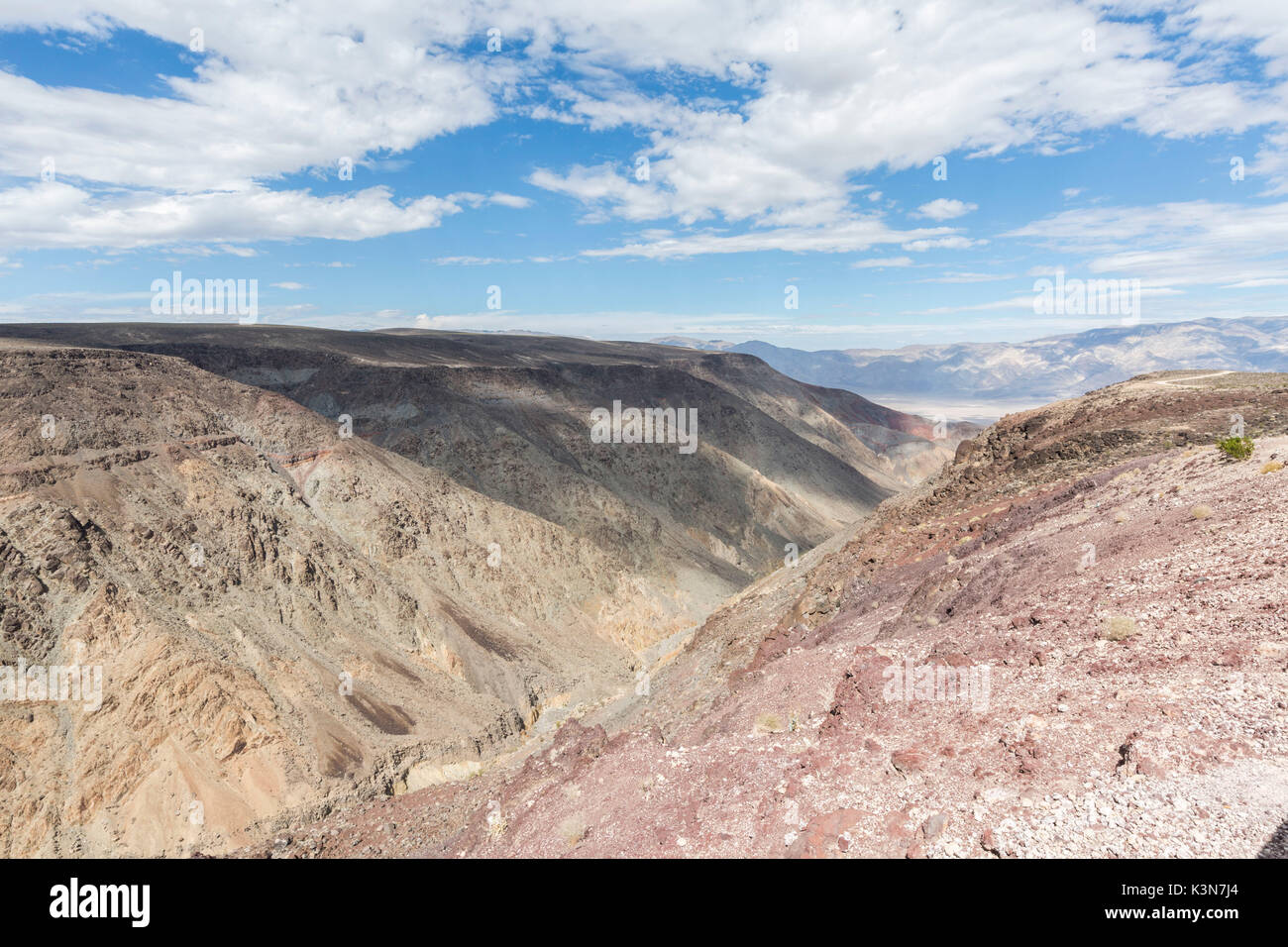 Wüstenlandschaft mit Sträuchern. Death Valley National Park, Inyo County, Kalifornien, USA. Stockfoto