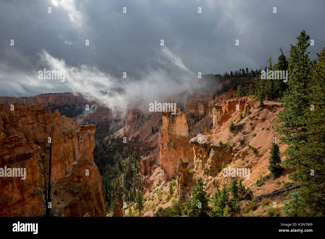 Black Birch Canyon. Bryce Canyon National Park, Garfield County, Utah, USA. Stockfoto
