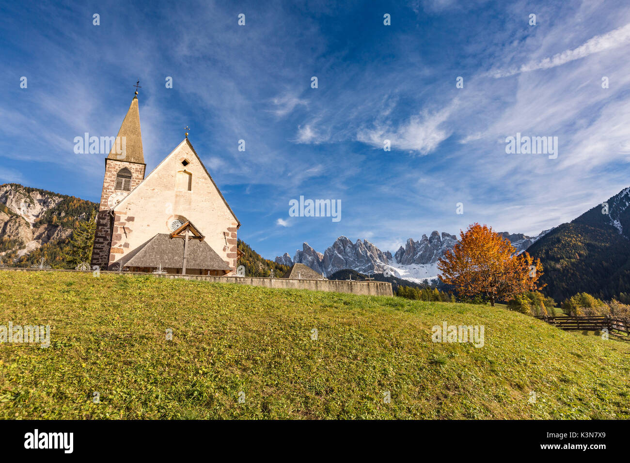 Herbstliche Kirschbaum und die Kirche des Dorfes. Santa Maddalena, Funes, Bozen, Trentino Alto Adige, Südtirol, Italien, Europa. Stockfoto