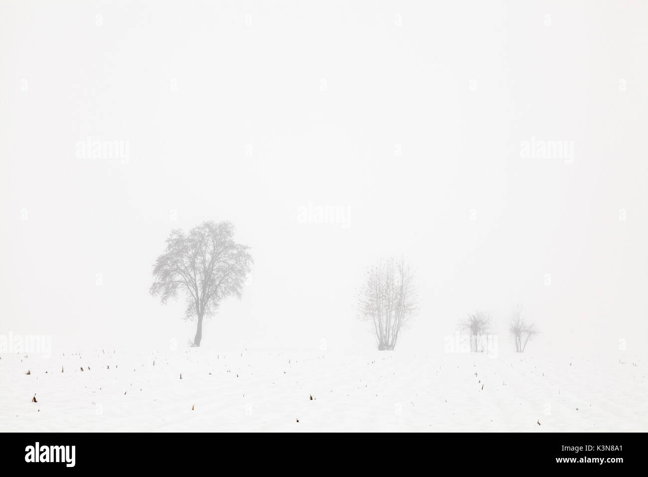 Soncino ., der Provinz Cremona, Lombardei, Italien. Bäume in der Landschaft im Winter. Stockfoto
