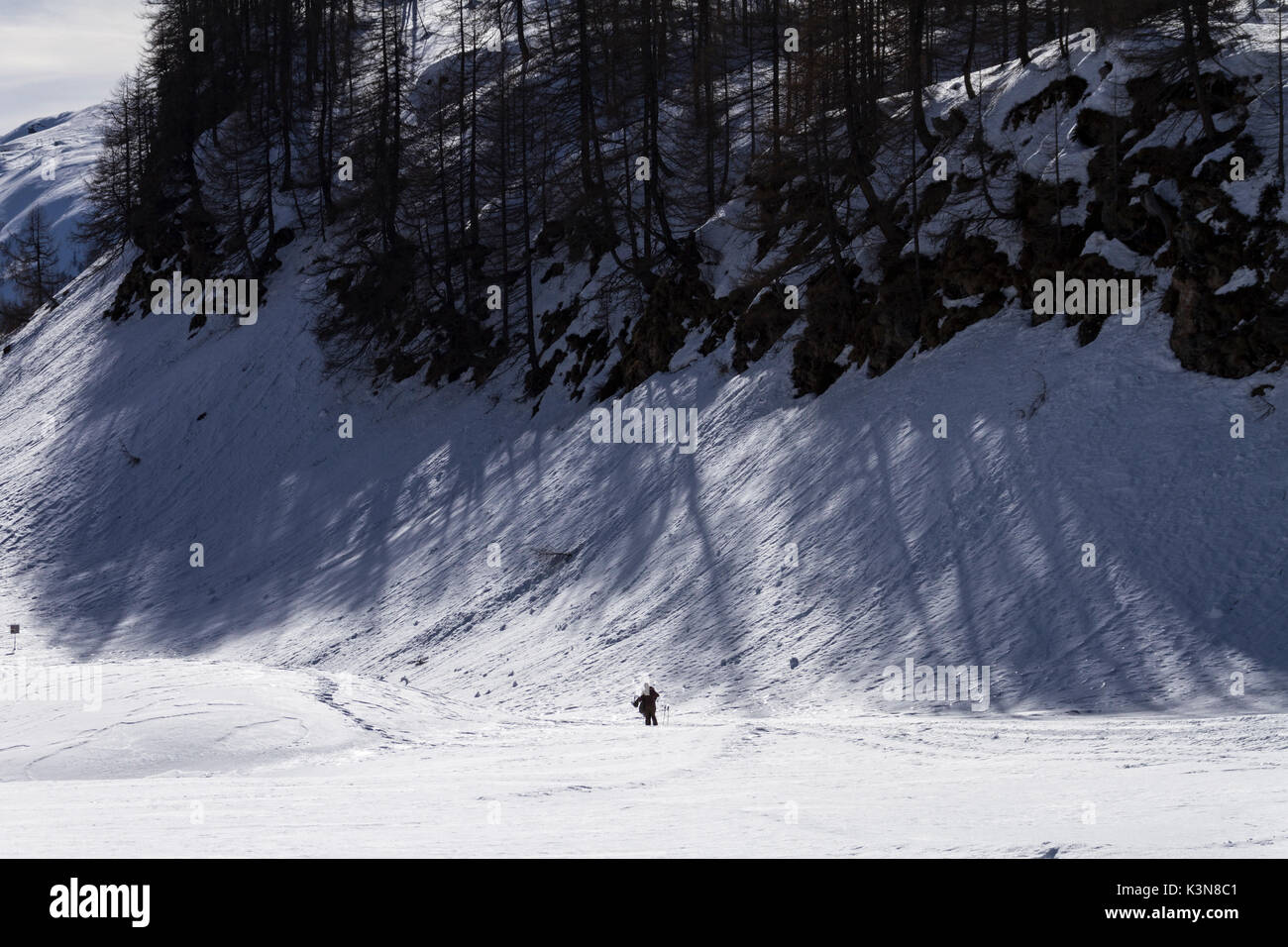 Wanderer auf dem Schnee im Winter sind die Bäume, die ihre Schatten Projekt auf dem Schnee überwunden. Alpe Devero Naturpark, Piemont, Italien Stockfoto