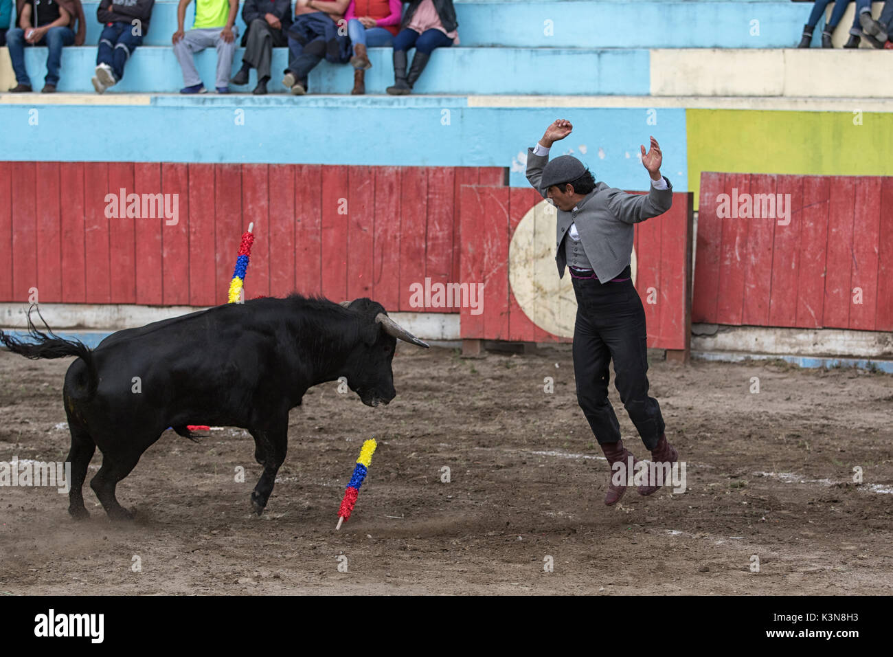 Juni 18, 2017 Pujili, Ecuador: picador springt nach oben an der Vorderseite des wütenden Stier in der Arena Stockfoto