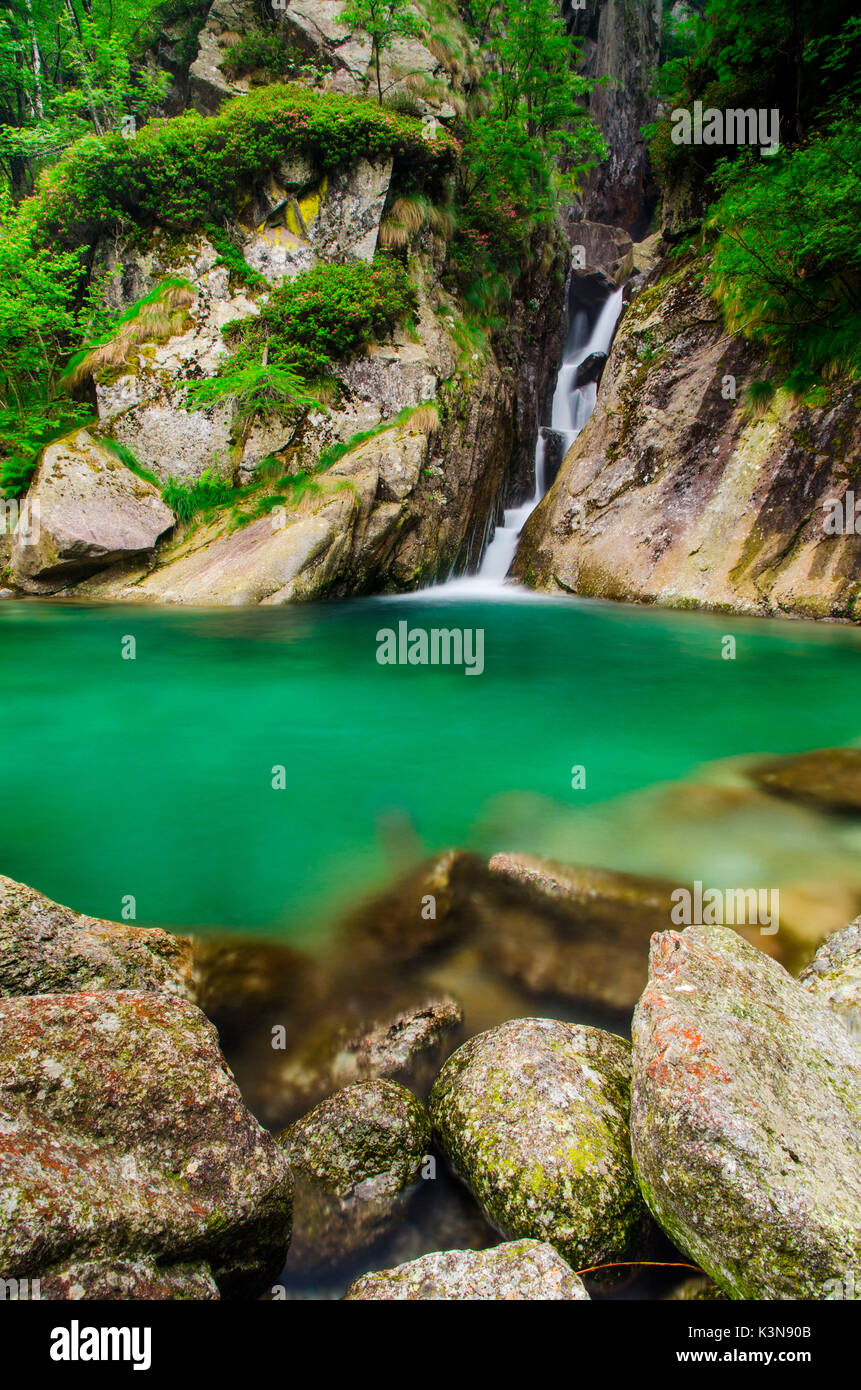 Ein kleiner Wasserfall in einen Einlass des East River, steilen Klippen. (Soana Tal, Nationalpark Gran Paradiso, Piemont, Italien) Stockfoto