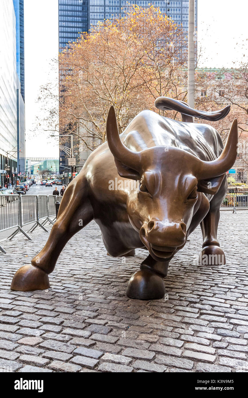 Bronze Wall Street Bull am Broadway in Manhattan, New York City, New York,  USA Stockfotografie - Alamy