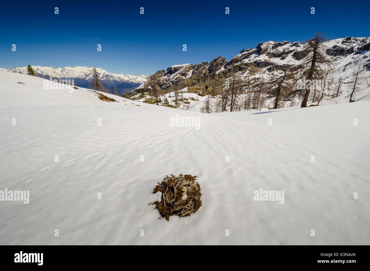 Val Chalamy, Mont Avic Natura Park, Aostatal, Italien Stockfoto