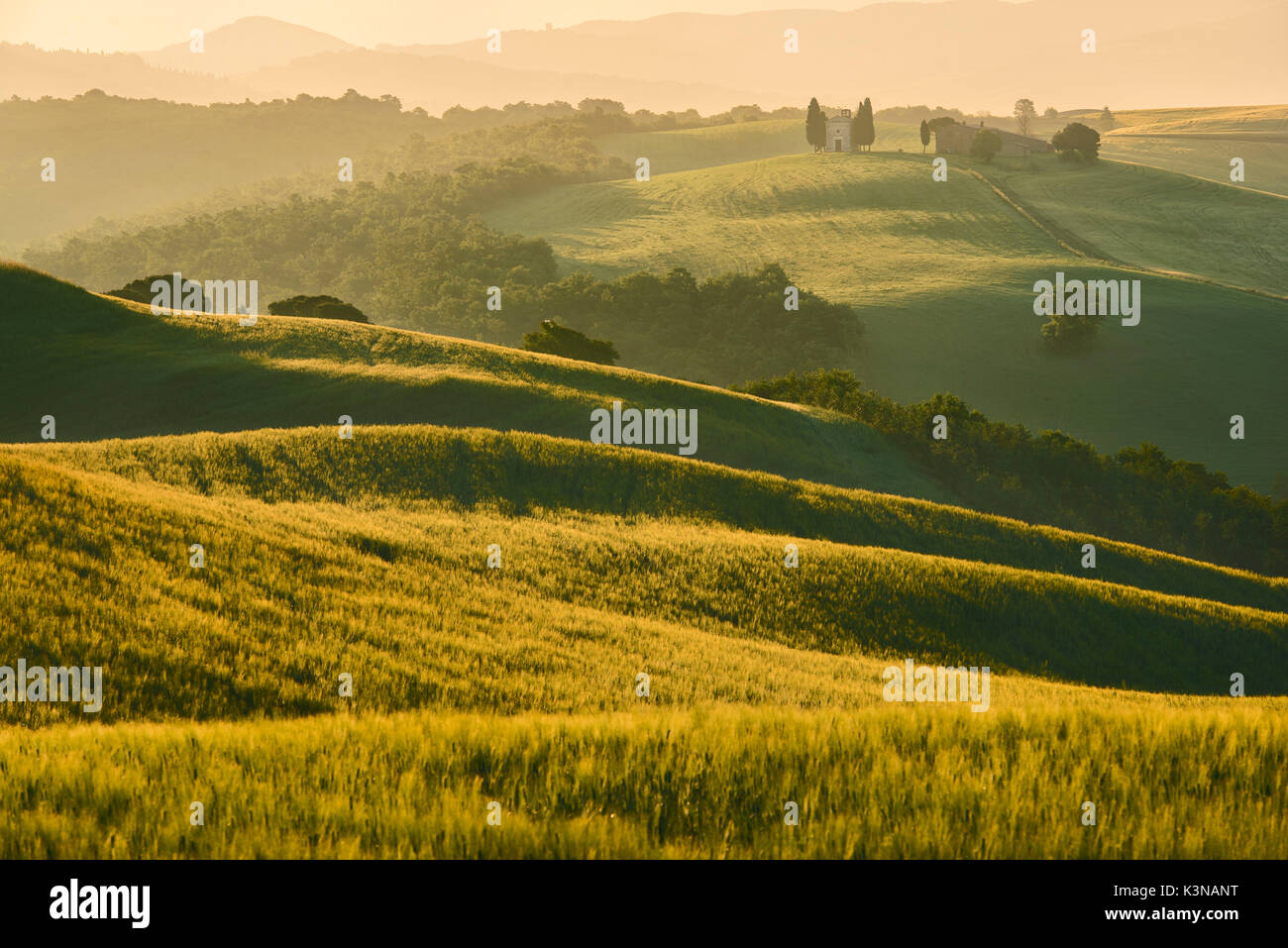 Italien, Toskana, Siena, Val d'Orcia - Santa Vitaleta bei Sonnenaufgang Stockfoto