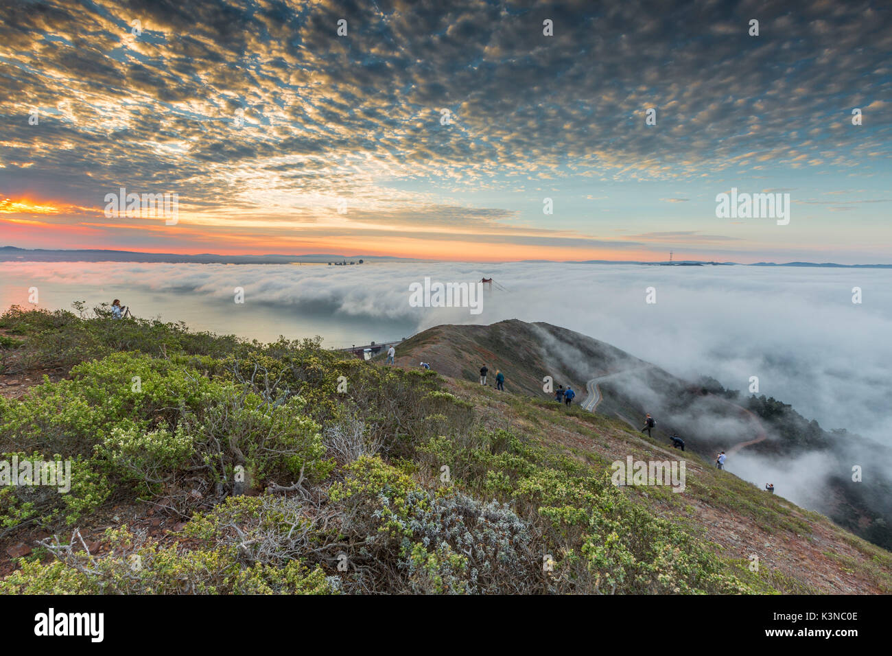 Golden Gate Bridge mit Morgennebel bei Sonnenaufgang geschossen von drückeberger Hill. San Francisco, Marin County, Kalifornien, USA. Stockfoto