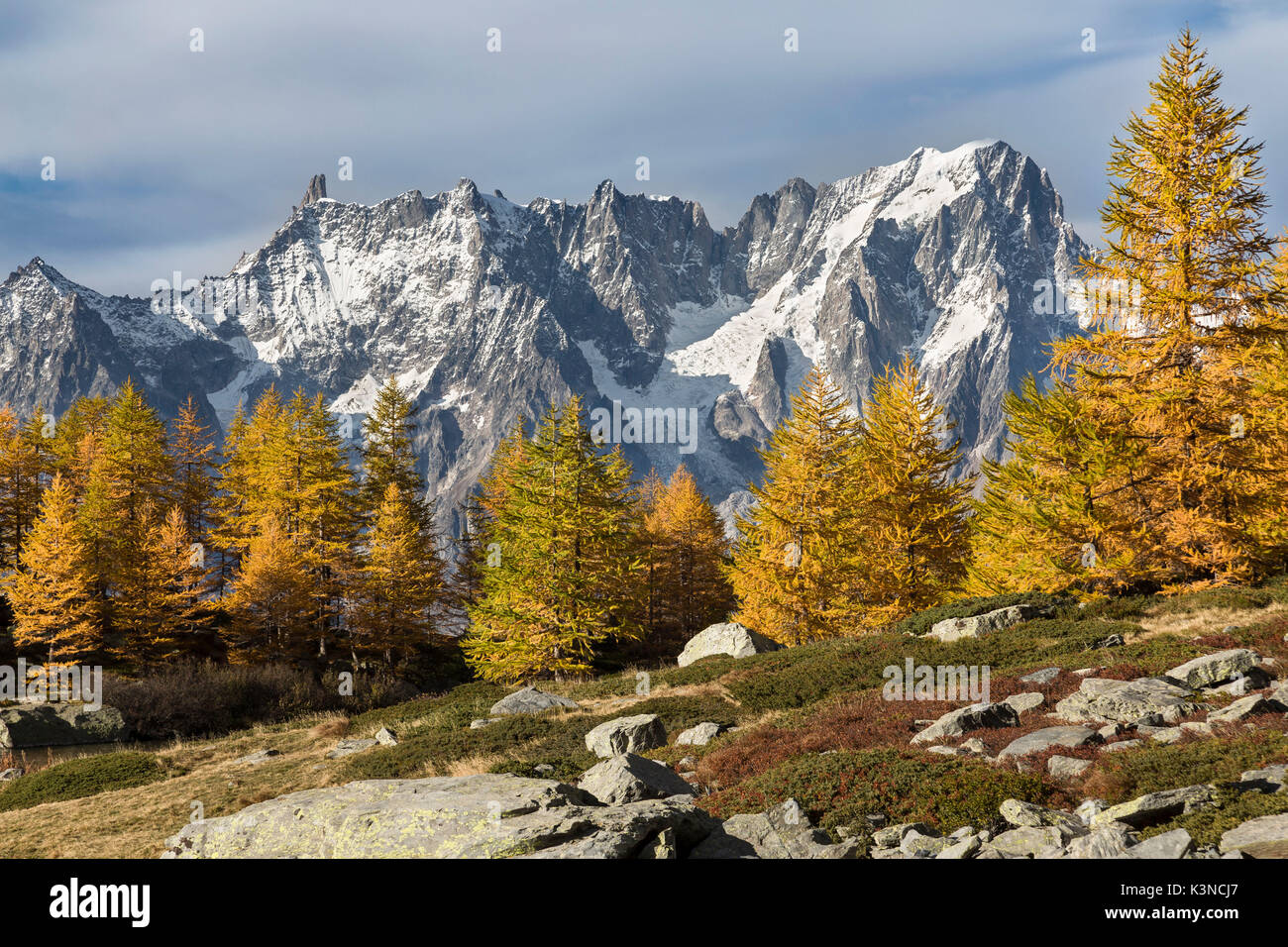 Herbst am See Arpy mit bunten Bäumen und den Grandes Jorasses, Mont Blanc Massiv, im Hintergrund (See, Arpy Morgex, Provinz Aosta, Aostatal, Italien, Europa) Stockfoto