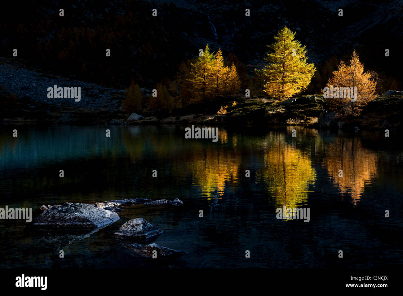 Herbst am See Arpy mit bunten Lärchen und Bäume, die bei Sonnenuntergang Zeit im See widerspiegeln (See, Arpy Morgex, Provinz Aosta, Aostatal, Italien, Europa) Stockfoto