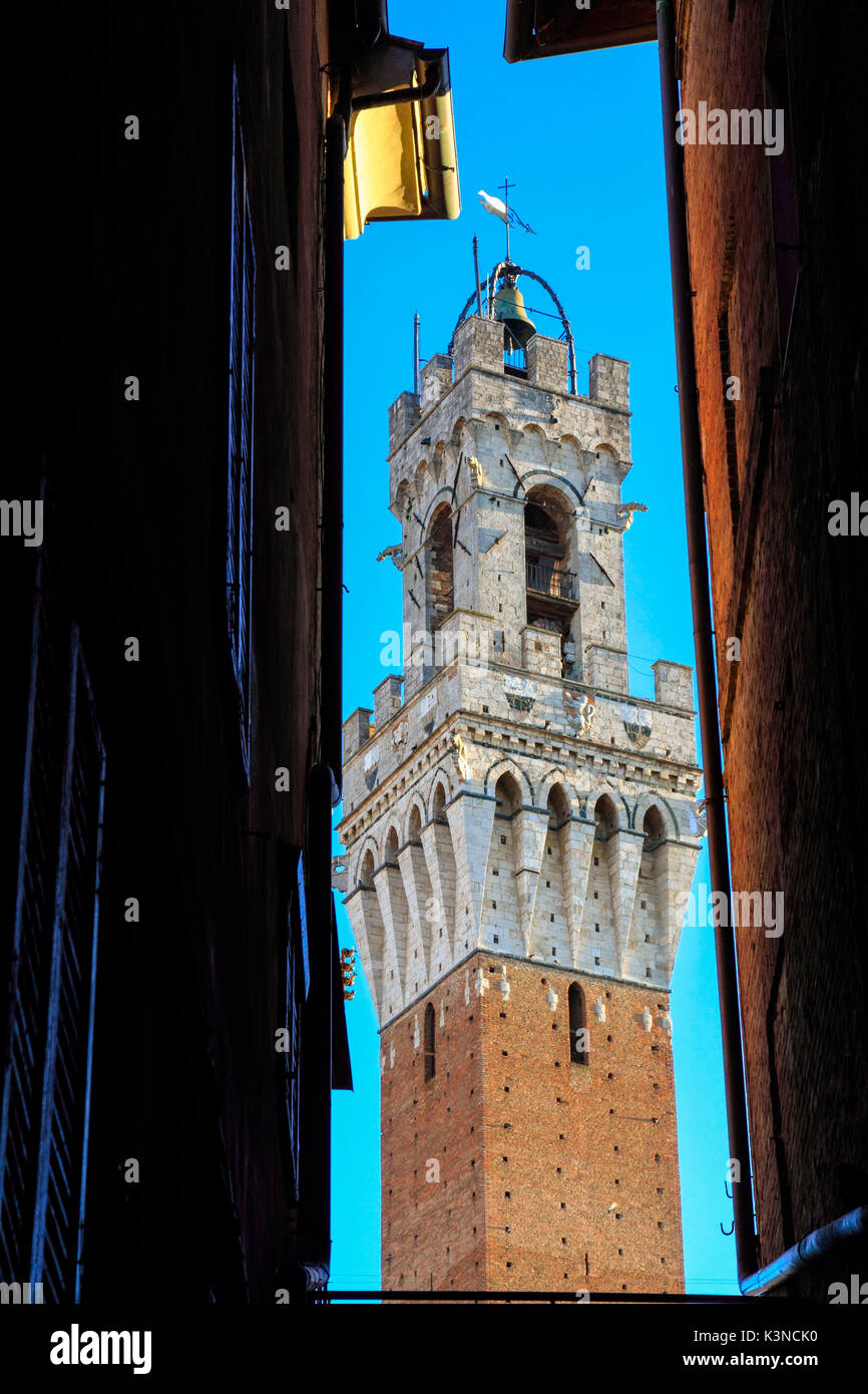 Europa, Italien, Toskana. Besonderer Blick auf Torre del Magna in Siena Zentrum Stockfoto