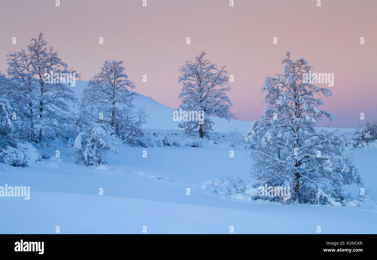 Europa, Italien, Toskana. Bäume Schnee in den Bergen des Apennin bei Sonnenaufgang begrenzt Stockfoto