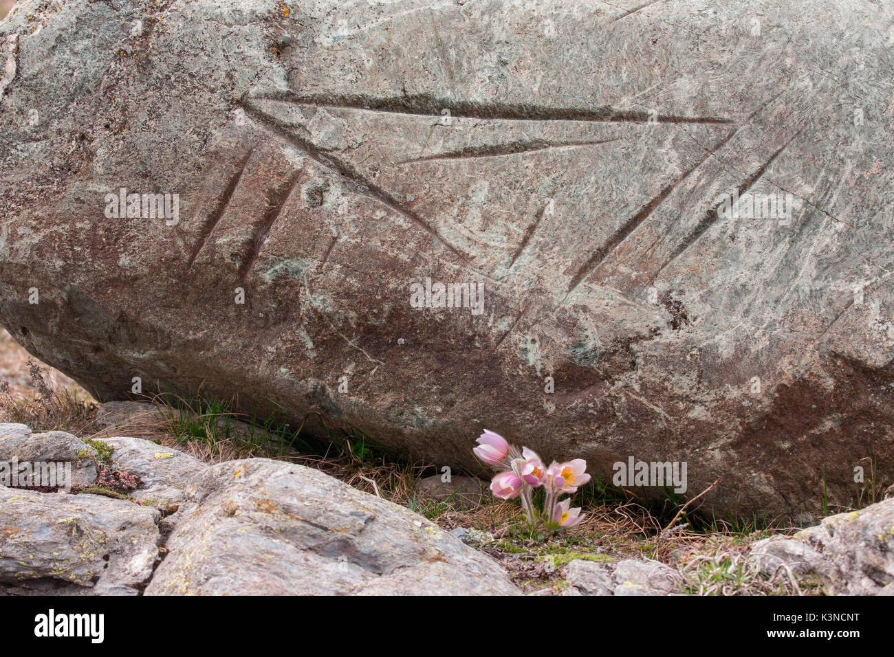 Felszeichnungen auf einem Felsen. Valdidentro - Valtellina - Lombardei Stockfoto