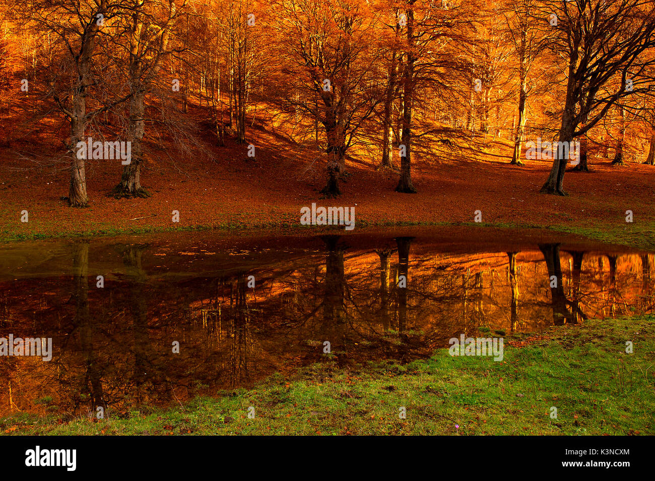 Baremone, Lombardei, Italien die Farben des Herbstes in Baremone Stockfoto