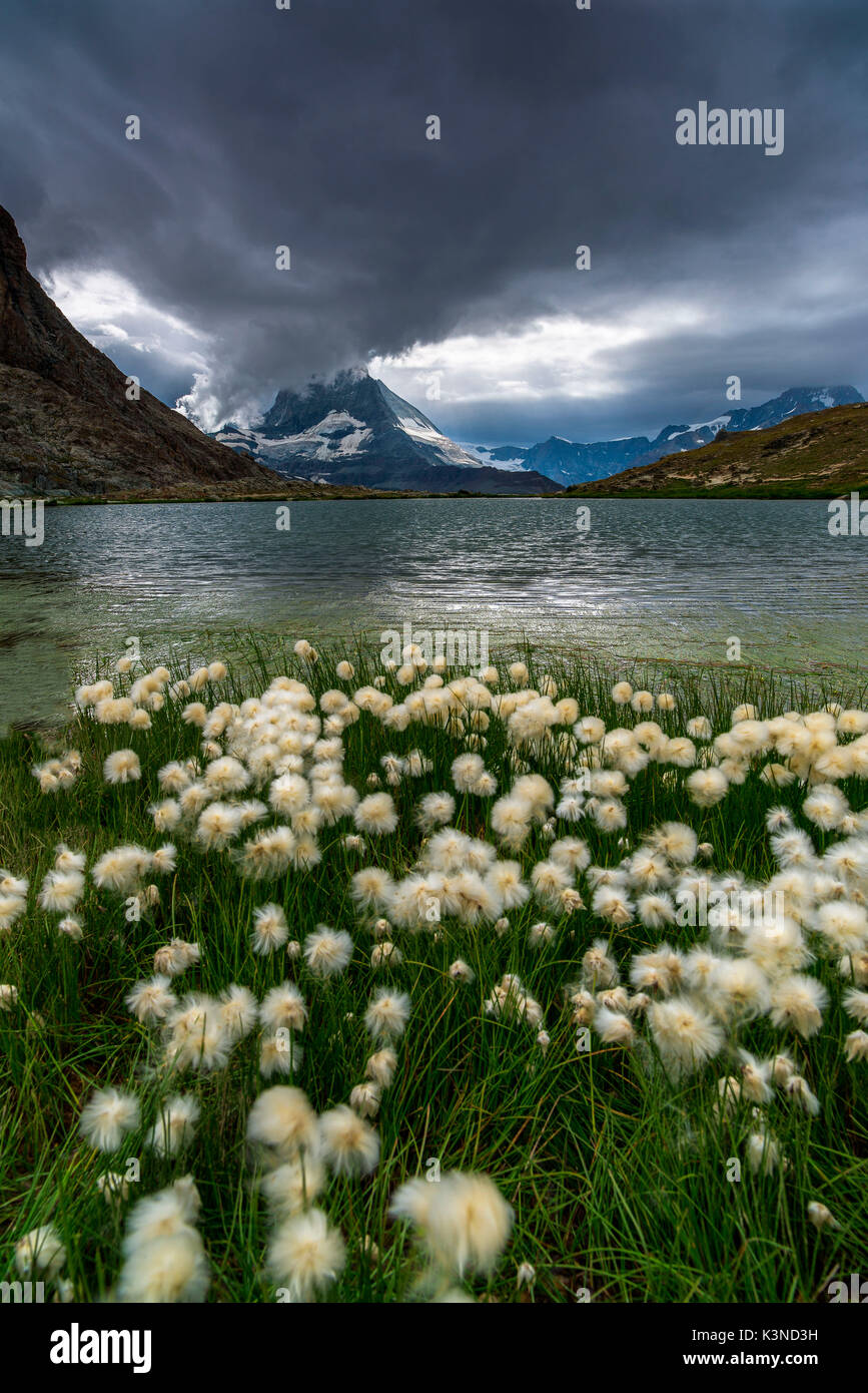 Riffelsee See, Matterhorn, Schweiz Stockfoto