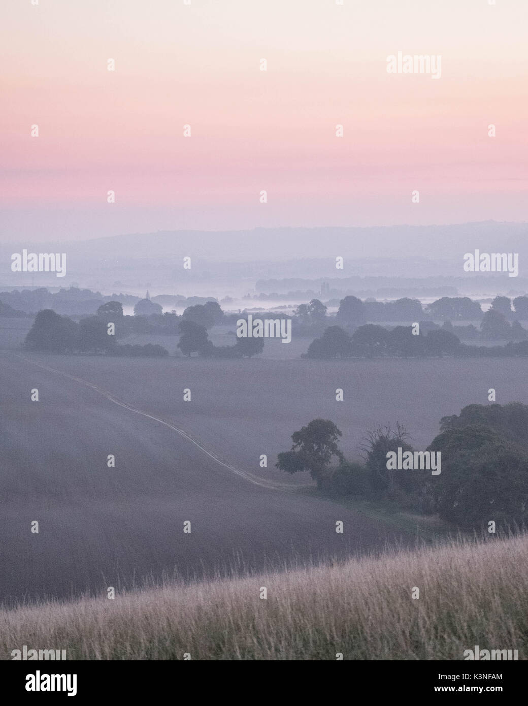 Nebel Rollen in über die Dunstable Downs vor Sonnenaufgang am späten Morgen im Sommer 2017. Stockfoto