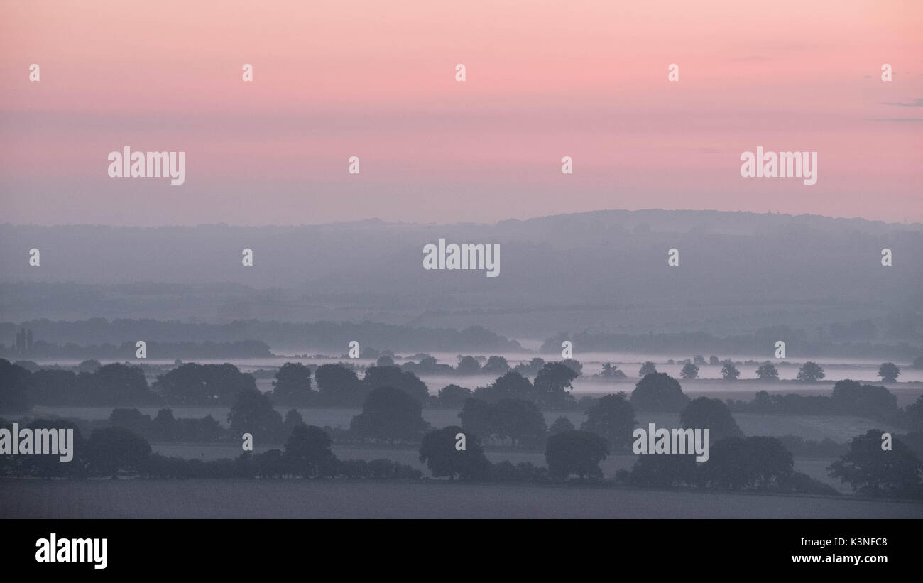 Nebel Rollen in über die Dunstable Downs vor Sonnenaufgang am späten Morgen im Sommer 2017. Stockfoto